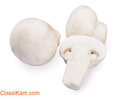 Buy Farm Fresh 200 Gram Mushroom Online