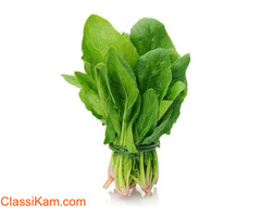 Buy Farm Fresh Organic Spinach | Palak Leaves 1 Bunch online
