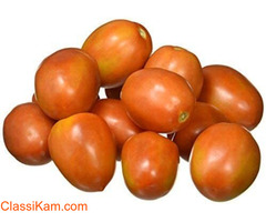 Farm Fresh Hybrid 1 KG Tomato