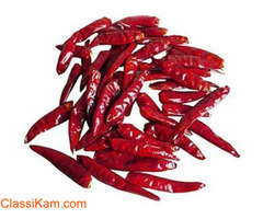 Shop Guntur Red Chilli 100 Gram Pack buy online