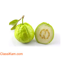 Natural Farm Fresh Organic Guava Fruit 500 Gram