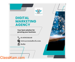 Website Development in Delhi