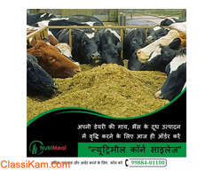 Silage Provider in Punjab