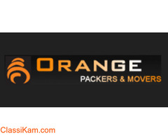 Packing and Moving Service in Pune