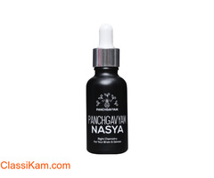 Panchgavya Nasya | Medicine for Migraine,Sinus & Good sleep