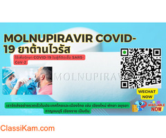 ซื้อ Molnupiravir COVID-19 Capsules ราคาขายส่งในประเทศไทย