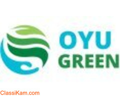Carbon Consulting Services - OYU Green