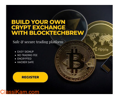 Build Your Own Cryptocurrency Exchange with BlockTechBrew