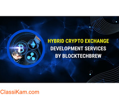 Build Your Hybrid Crypto Exchange Platform With BlockTechBrew