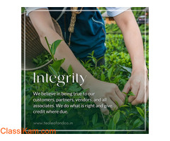 Shop Organic Green Tea at Best Prices online