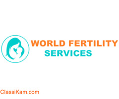 Top Best IVF Centre in India l World Fertility Services.