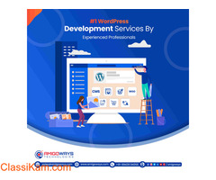 Top WordPress Theme Development Services in Tamil Nadu
