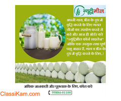 Silage Factory Punjab