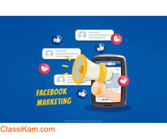 Facebook Marketing Expert in Noida