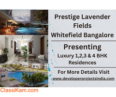 Prestige Lavender Fields - Immerse Yourself in Exquisite