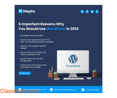 Are you looking to Hire Dedicated WordPress Developer ?