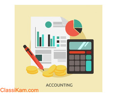 Accounting services in delhi