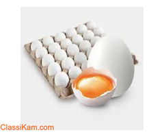 Egg Wholesale Price in Namakkal | Egg Wholesalers Namakkal