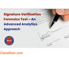How does Signature Verification Help Expose Forged Documents?
