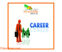 Web Promotion Executive,Online Promotion