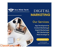 Best SEO Company In Delhi