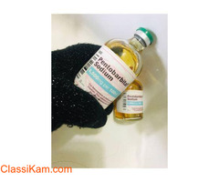 BUY NEMBUTAL ONLINE ,BUY PENTOBARBITAL SODIUM, BUY