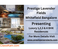 Prestige Lavender Fields - Unveiling a Lavish Tapestry of Luxury