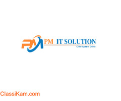PM IT Solution - Digital Marketing Company In Jaipur