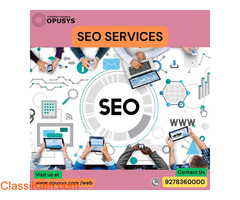 SEO Services in Delhi