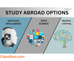 Study Abroad Options: Data Science Vs Machine Learning