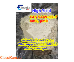 BMK Powder CAS 5449-12-7/5413-05-8 High Yield