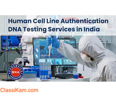 Why Do Cell Lines Need To Be Authenticated?