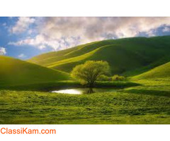 Carbon Credit Brokers – OYU Green