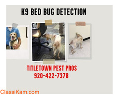 Safe and Effective Pest Control for Your Commercial Property