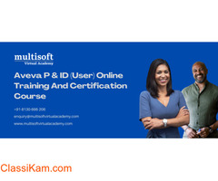 Aveva P & ID (User) Online Training And Certification Course