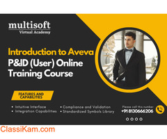 Aveva P & ID (User) Online Training And Certification Course