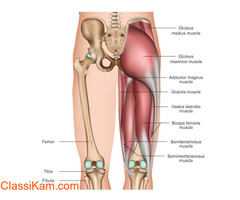Leg Pain - Symptoms, Causes, Diagnosis & Best Treatment
