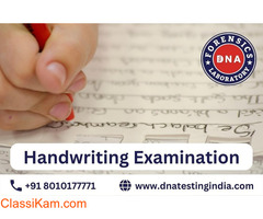 Can Handwriting Examination Test Help You to Find Forged Documents?