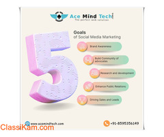 Website Development Expert in Delhi