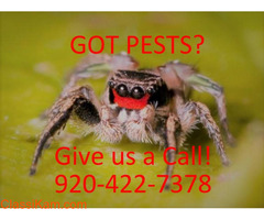 Reliable and Professional Pest Control in Appleton