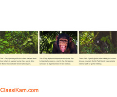 Unravelling the Treasures of Uganda