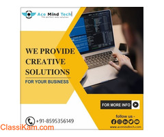 Best Website Designing Company In Delhi NCR | Acemindtech