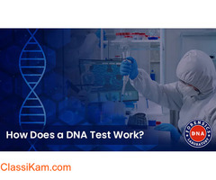 How Does a DNA Test Help Us?