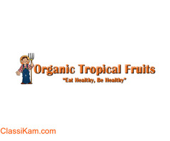 Exquisite Organic Fruit Gift Box: A Taste of Tropical Paradise