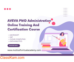 AVEVA P&ID Administration Online Training And Certification Course