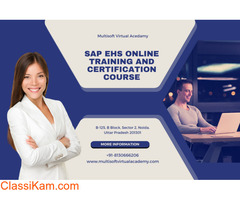 SAP EHS Online Training And Certification Course