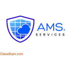 business managed cloud security service