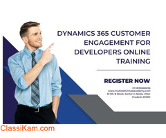 Dynamics 365 Customer Engagement for Developers Online Training