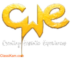 CWE best event organizers in dubai