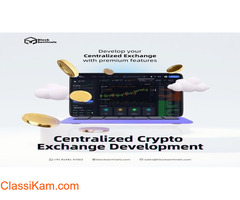 Centralized crypto exchange development